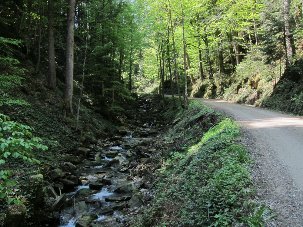 Wiessee_351