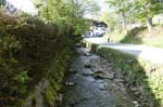 Wiessee_320