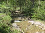 Wiessee_350