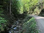 Wiessee_351